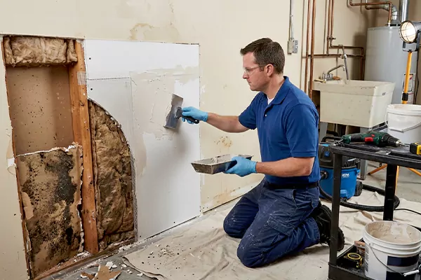 Mold and Drywall Repair Kenmore