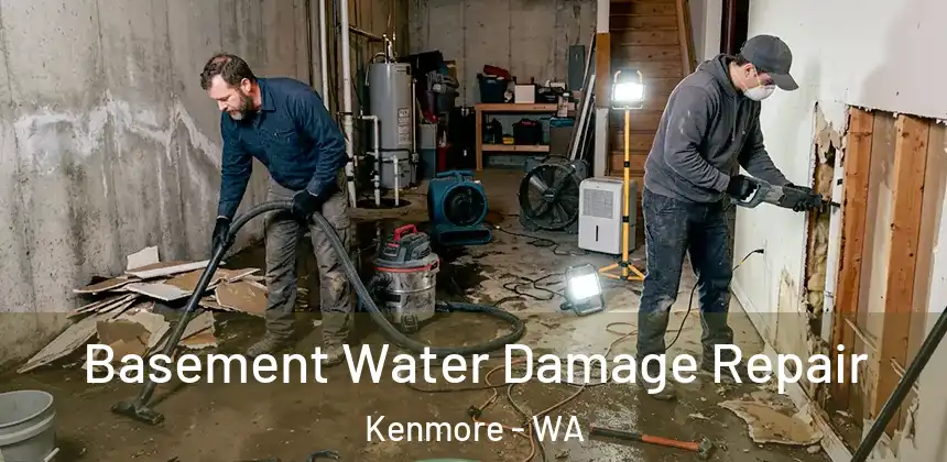  Basement Water Damage Repair Kenmore - WA
