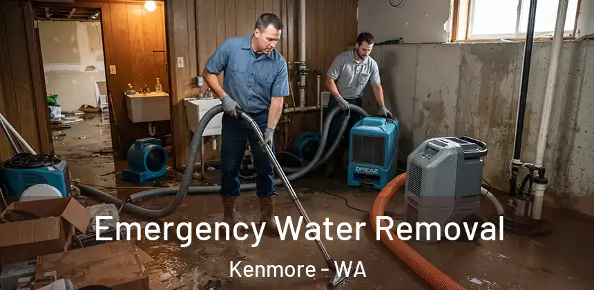  Emergency Water Removal Kenmore - WA