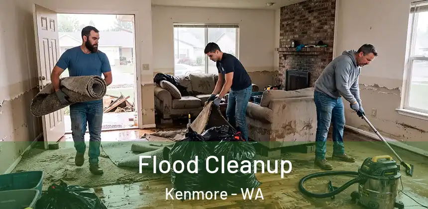  Flood Cleanup Kenmore - WA