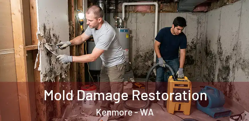  Mold Damage Restoration Kenmore - WA
