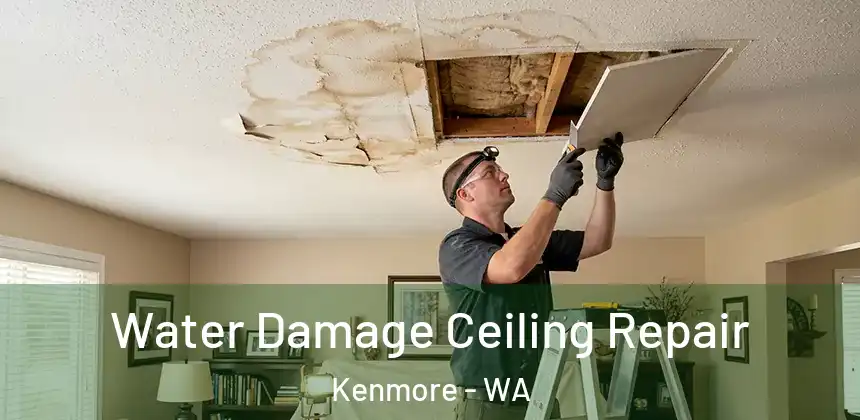  Water Damage Ceiling Repair Kenmore - WA
