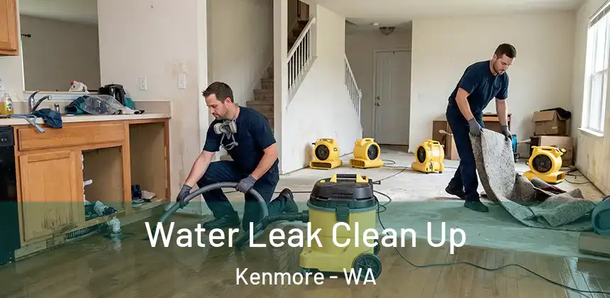  Water Leak Clean Up Kenmore - WA