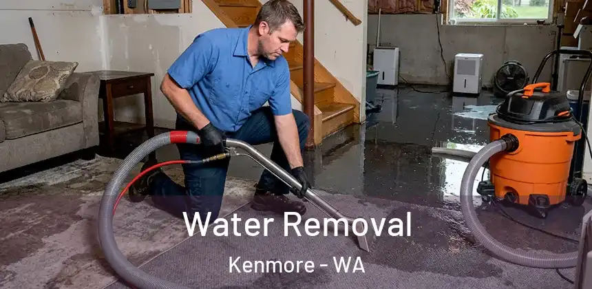  Water Removal Kenmore - WA