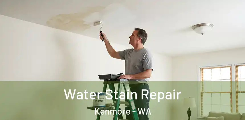 Water Stain Repair Kenmore - WA